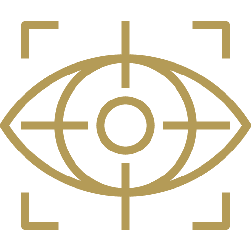 Vision